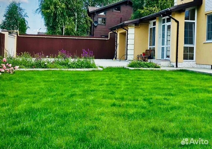 Газон Спортивный