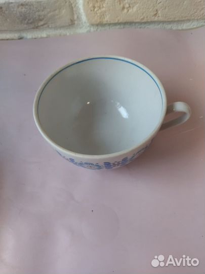 Чашка вербилки