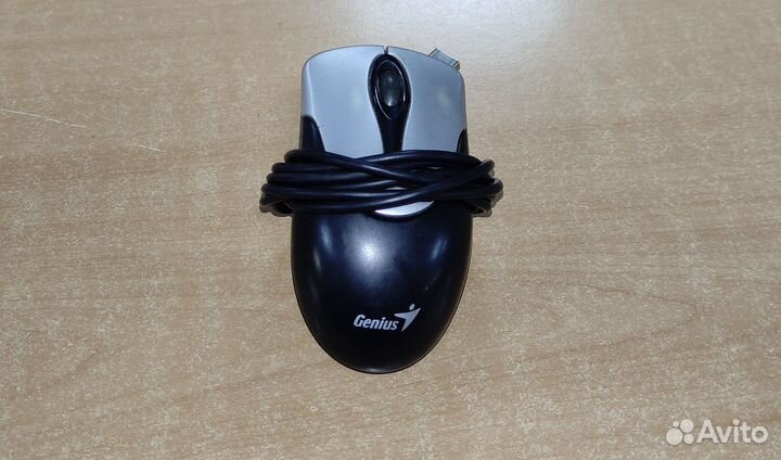 Мышка USB проводная Genius NetScroll 100