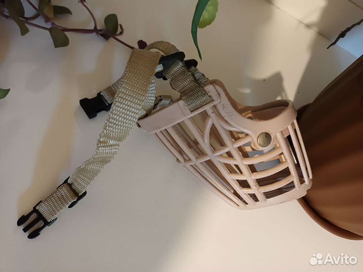 Намордник для собак