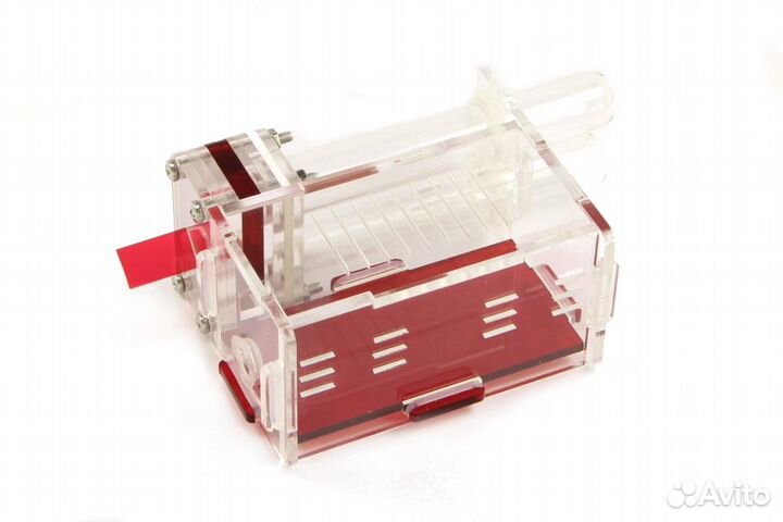 Муравьиные фермы (формикарии) муравьи В подарок