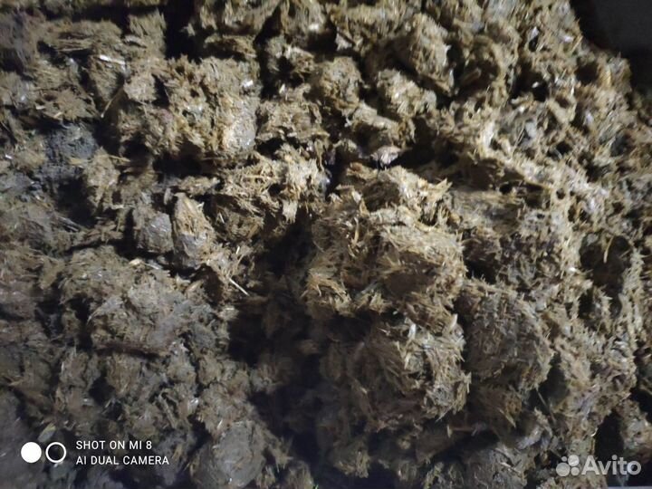 Навоз конский бесплатно до конца июня