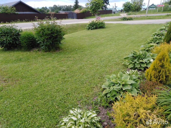 Окос травы и стрижка газонов