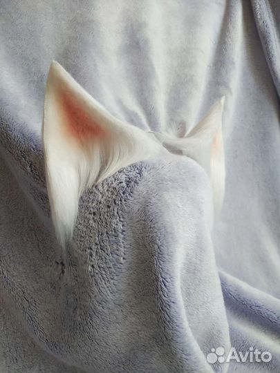 Белые кошачьи ушки косплей Ahri KDA