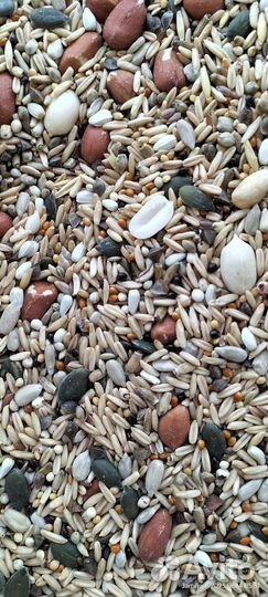 Корм для попугая