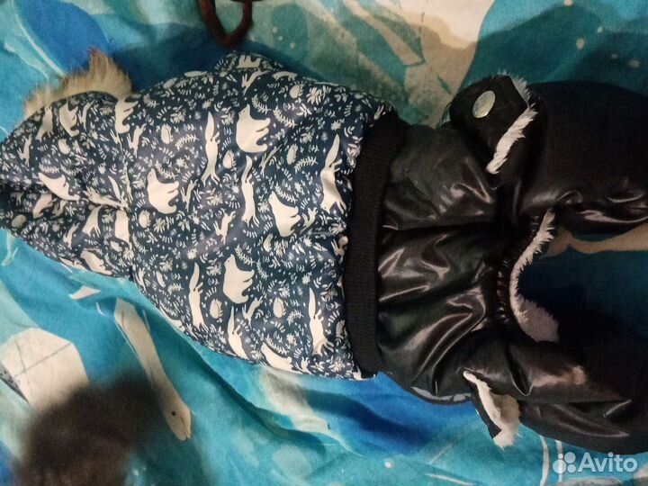 Одежда для собаки той-терьера