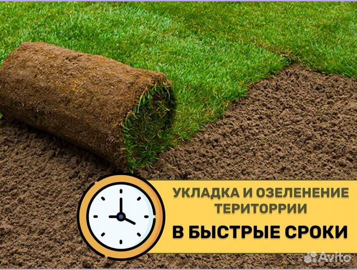 Рулонный газон стандартный под ключ