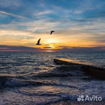 4авг24 Автобусный тур в Лазаревское/рэ6007.Ема