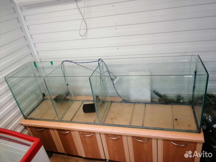 Аквариум+фильтр