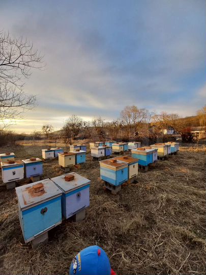 Дом 37,1 м² на участке 23 сот.