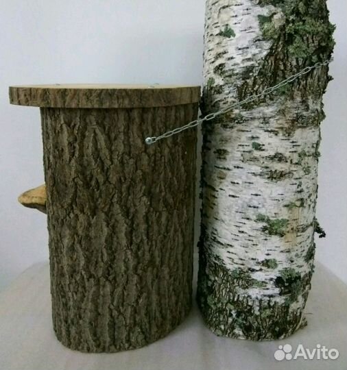 Бельчатник 