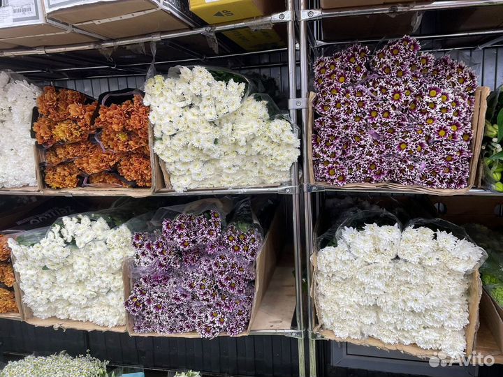 Букеты из хризантем Крымская Розы Пионы Гипсофила