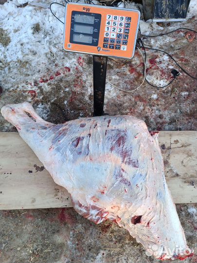 Мясо говядина молодняк домашняя