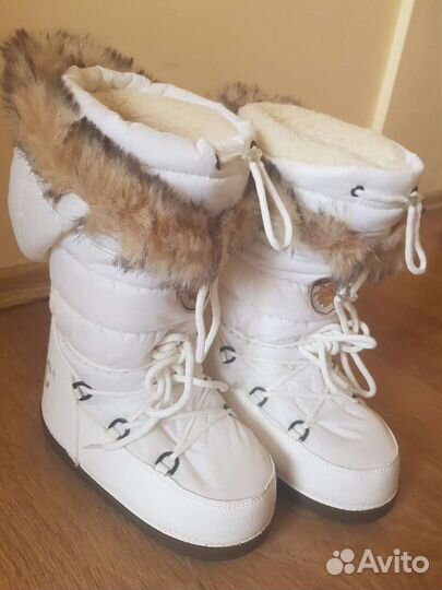 Сароги-снегоходы