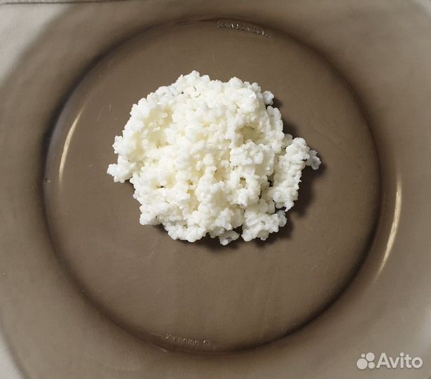 Молочный гриб