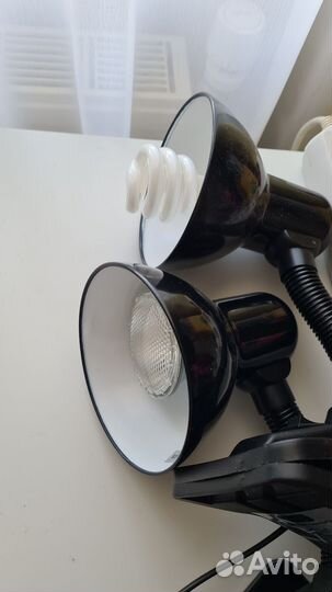 Террариум для рептилий