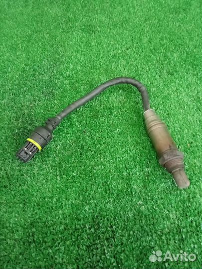 Датчик кислородный передний Bmw X5 E53 M54 306S3