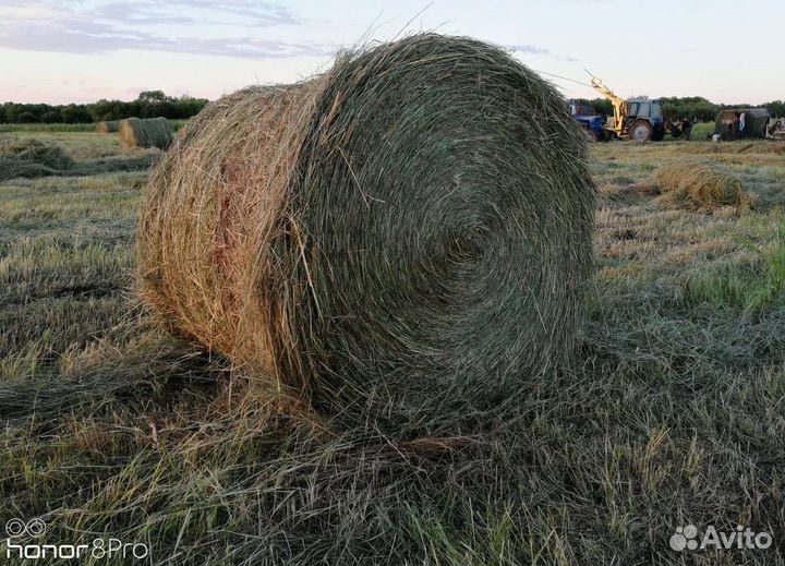 Сено в рулонах для животных