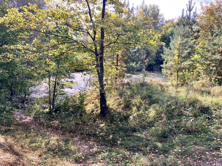 Участок 18 сот. (ИЖС)