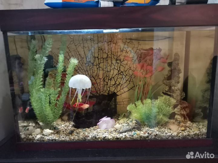 Аквариум
