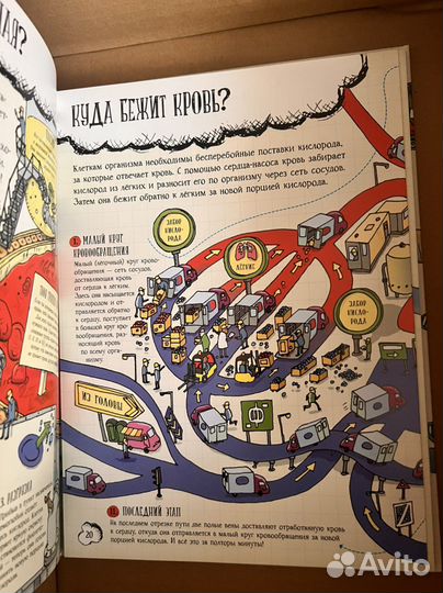 Книга о человеке