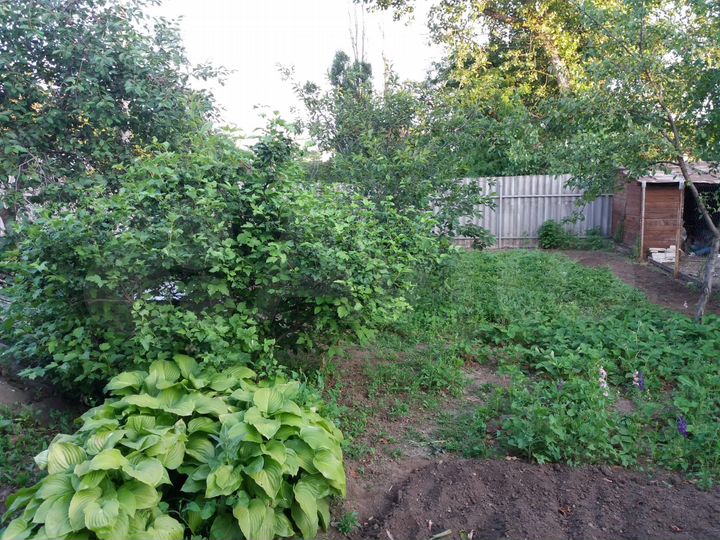 Дом 45,4 м² на участке 9 сот.