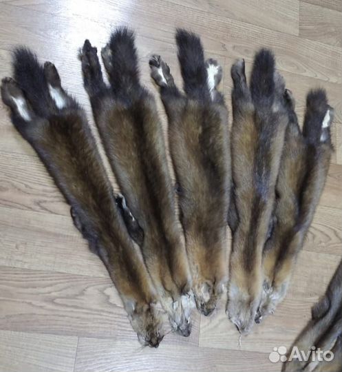 Шкурки соболя