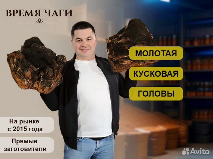 Чага молотая и кусковая сушеная