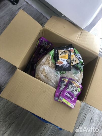 Принадлежности для кошек