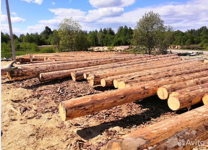 Срубы домов и бань