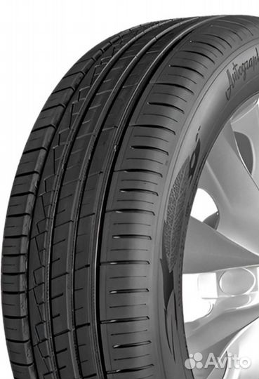 Ikon Tyres Autograph Eco 3 205/60 R16 96V