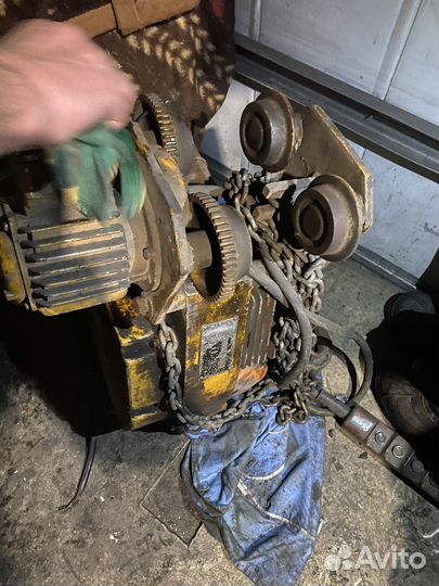 Тельфер болгарский