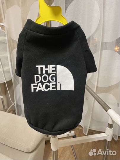 Одежда для собак и кошек