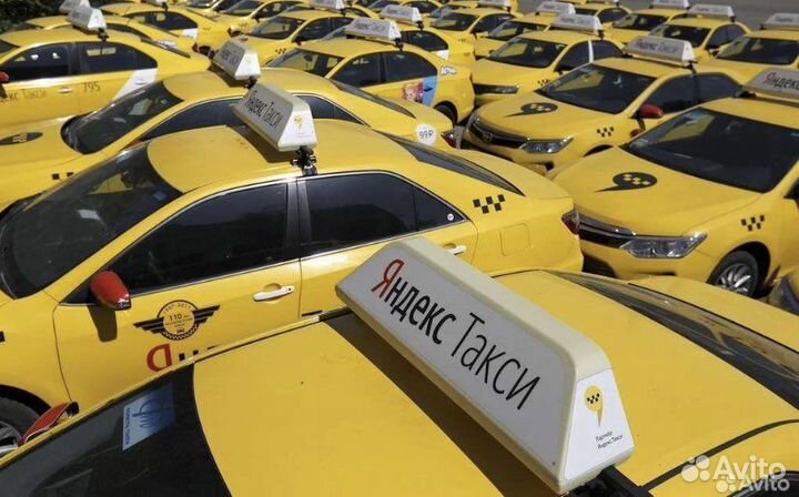 Водитель Яндекс такси