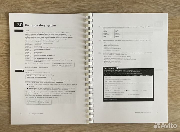 Professional English in Use