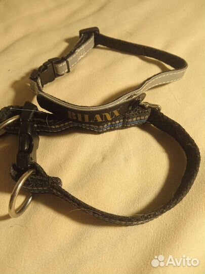 Ошейник и поводок для маленькой собаки или щенка