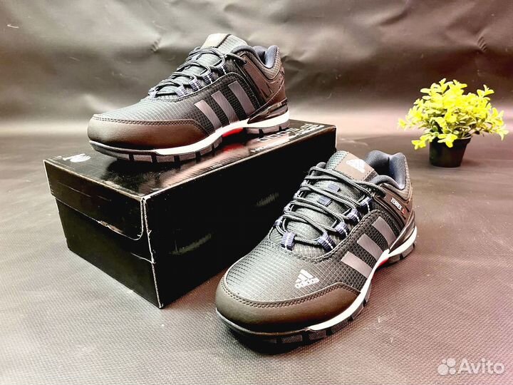 Кроссвки Adidas Terrex