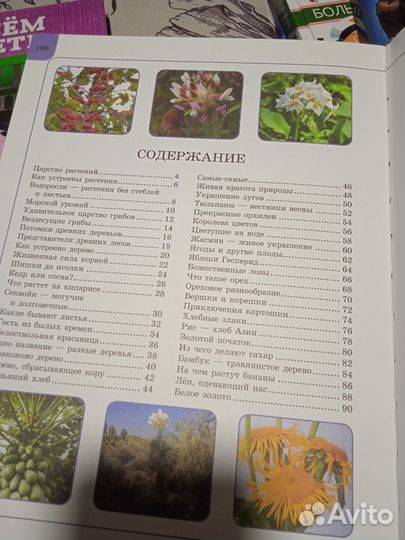 Энциклопедия