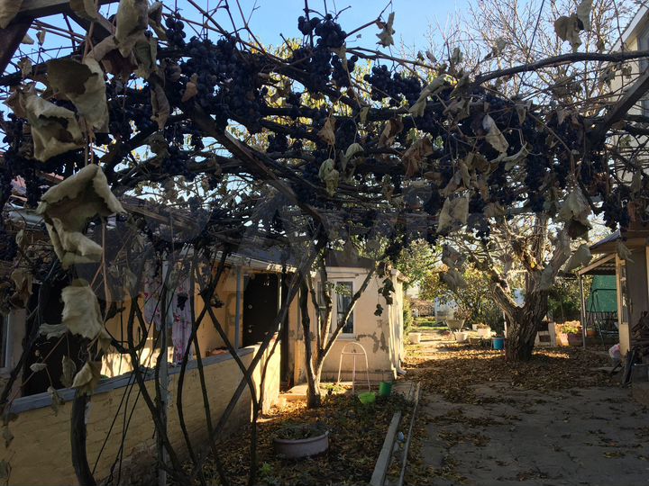 Дом 66,2 м² на участке 24 сот.