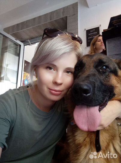 Передержка у кинолога