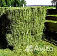 Сено люцерны в тюках