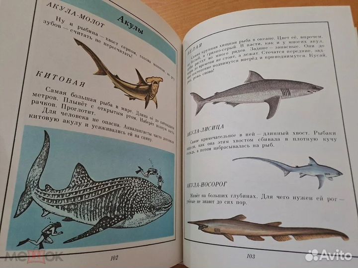 В Мире Дельфина и Осьминога Сахарнов 1987 Малыш