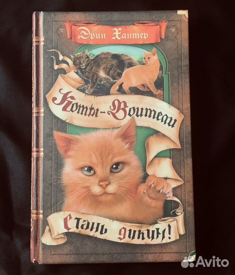 Коты-воители.Стань диким