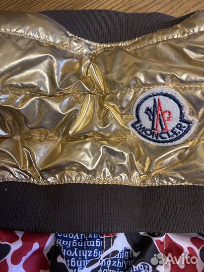 Одежда для собак мелких пород