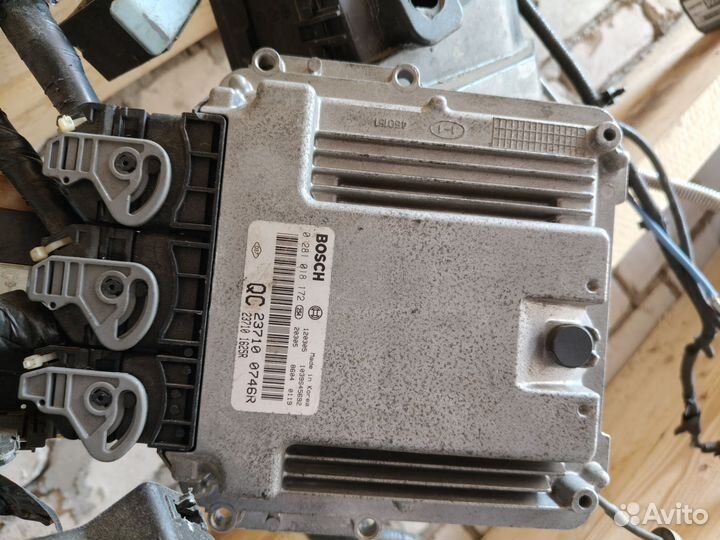 Эбу Рено Колеос