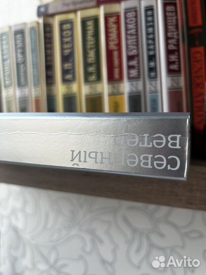 Рената Литвинова книга 