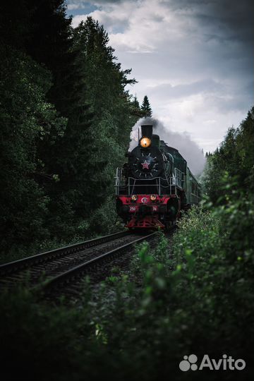 Тур Карелия и Соловки с 17.07