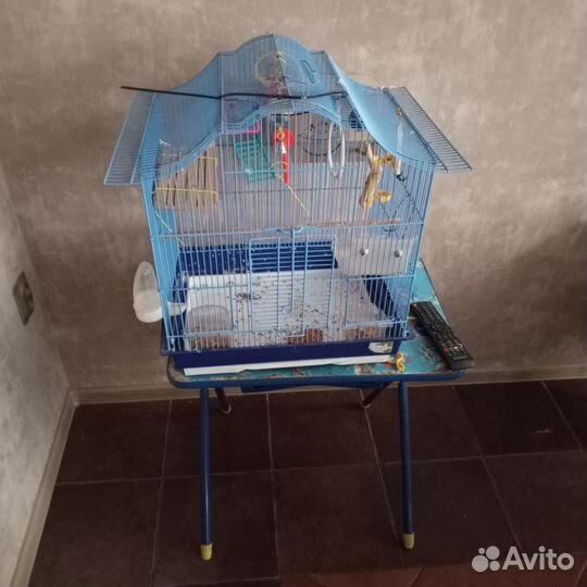Клетка для попугая