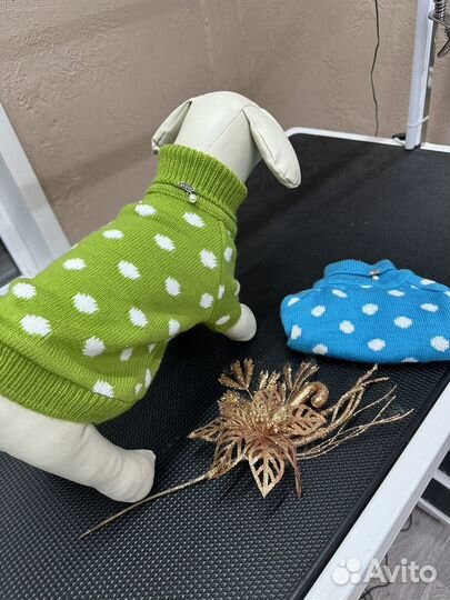 Вещи для животных