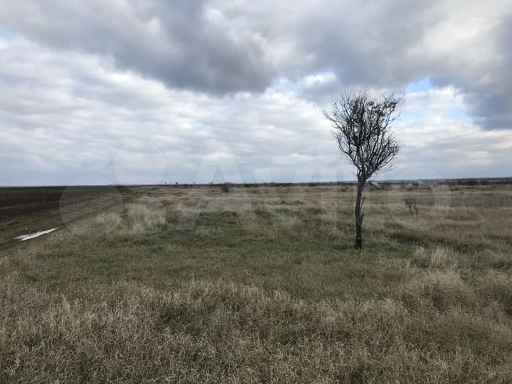 Участок 2,23 га (СНТ, ДНП)